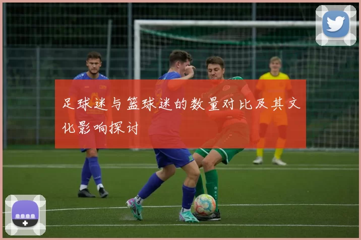 足球迷与篮球迷的数量对比及其文化影响探讨